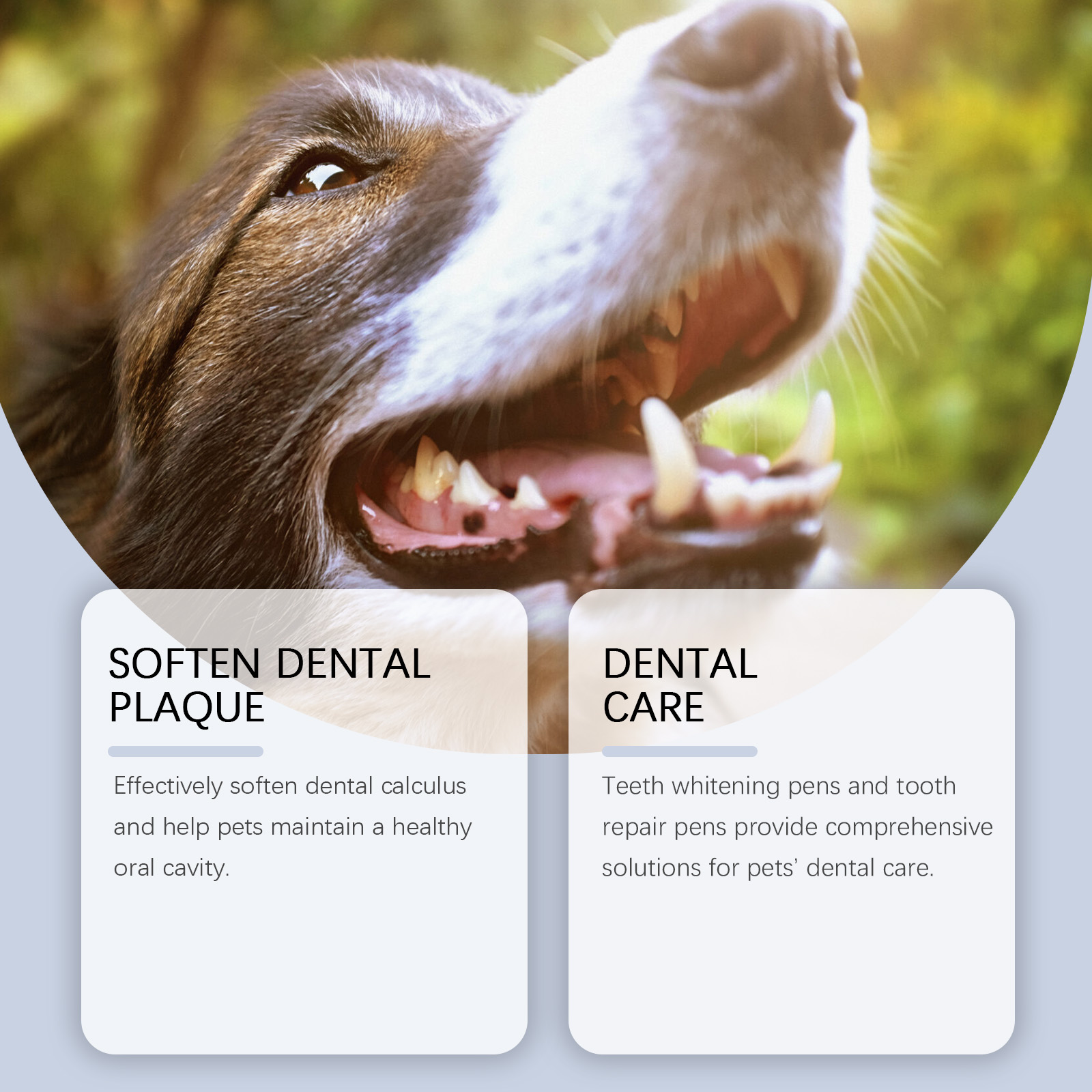 犬や猫用の歯のホワイトニングペンセット。歯垢や汚れを除去し、 - Teeth Whitening Pens のレビューと価格